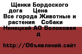 Щенки Бордоского дога.  › Цена ­ 30 000 - Все города Животные и растения » Собаки   . Ненецкий АО,Волоковая д.